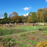 Herbstfest auf dem Weltacker