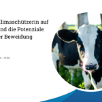 Die Kuh – Klimaschützerin auf der Weide und die Potenziale nachhaltiger Beweidung