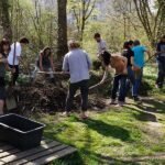 Leadership-Training für Gestalter*innen des Wandels und Hüter*innen der Erde