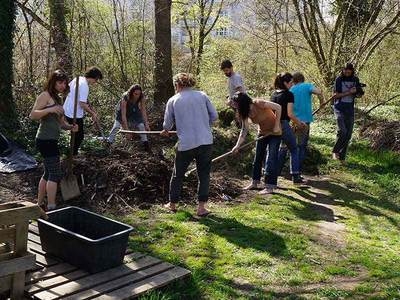 Leadership-Training für Gestalter*innen des Wandels und Hüter*innen der Erde