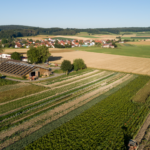 Nachfrage sucht Angebot: Vernetzungsbörse für Landwirte und Verarbeiter