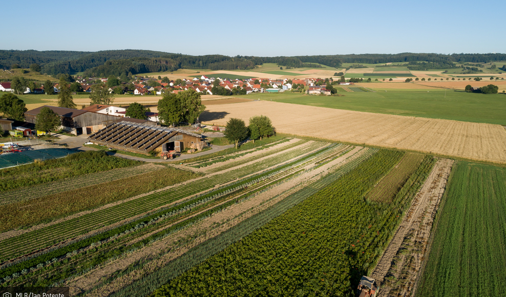 Nachfrage sucht Angebot: Vernetzungsbörse für Landwirte und Verarbeiter