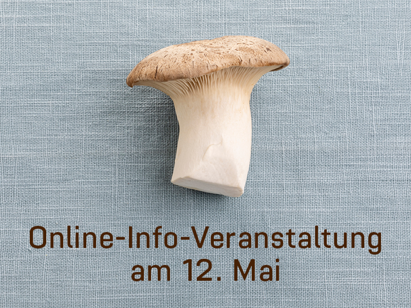 Info-Veranstaltung zur Aktion "Lokal Hero" (digital)