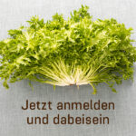 Praxisberichte und Austausch zur Aktion "Lokal Hero"