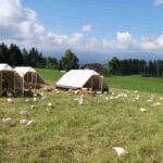 Badisch Bullerbü??? – Steingrubenhof