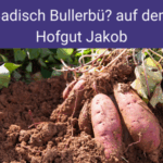 Badisch Bullerbü??? zu Besuch beim Hofgut Jakob in Ihringen