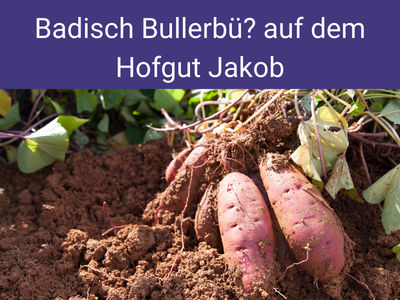 Badisch Bullerbü??? zu Besuch beim Hofgut Jakob in Ihringen