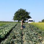 Vielfältig & vegan: Regionales Gemüse trifft asiatische Küche