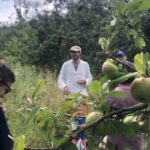 Cidre Degustation mit FreuObst aus Eichstetten am Kaiserstuhl