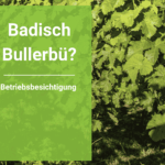 Badisch Bullerbü? Landwirtschaft im Wandel in Oberrotweil: Wie trotzt der Weinbau der Krise?