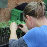 Gemüsegarten Grundkurs Anbauplanung: was, wie viel und wohin?