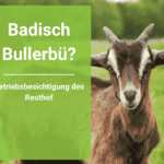 Badisch Bullerbü? Betriebsbesichtung auf dem Reuthof