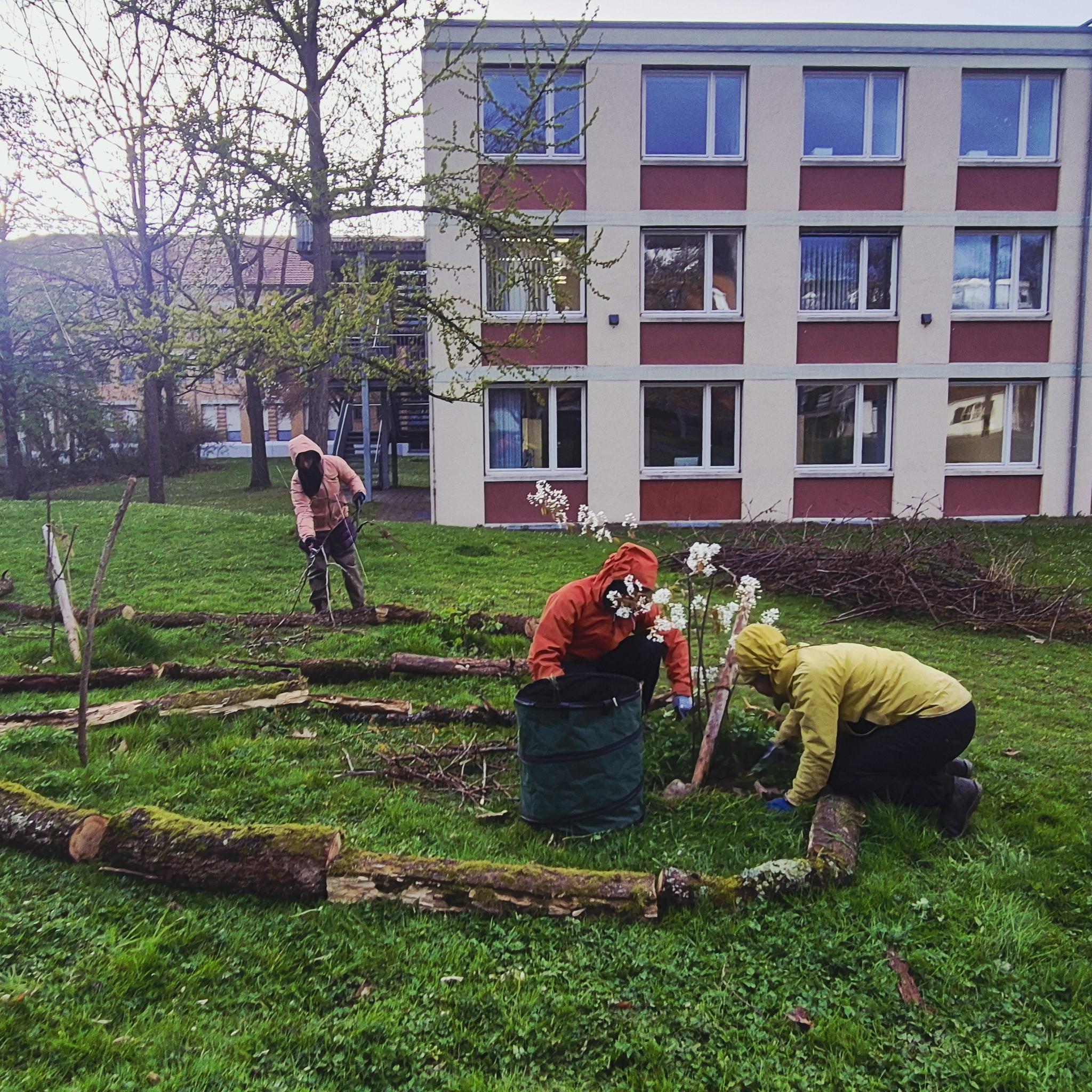 Pflanzaktion mit waldwärts