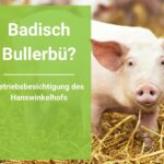 Badisch Bullerbü? Betriebsbesichtigung beim Hanswinkelhof in Denzlingen