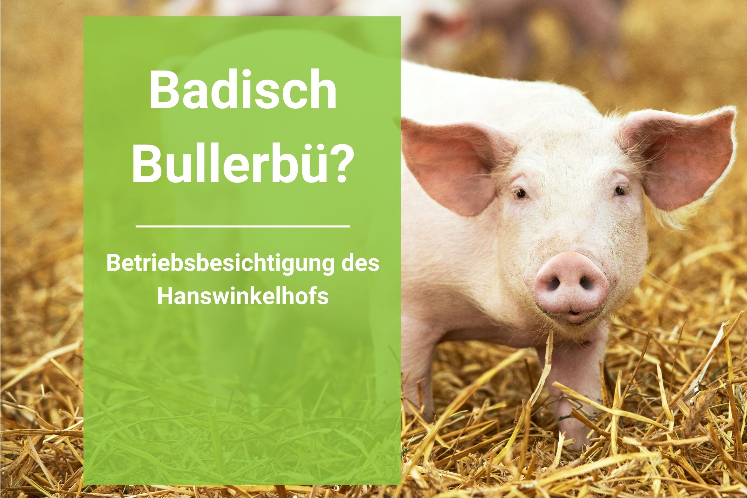 Badisch Bullerbü? Betriebsbesichtigung beim Hanswinkelhof in Denzlingen