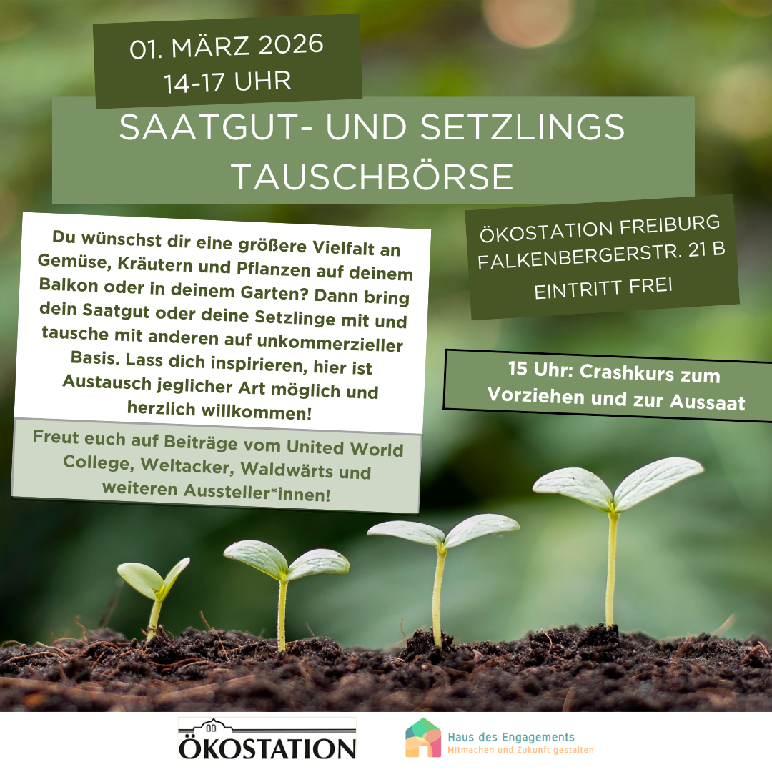 Saatgut- und Setzlingstauschbörse