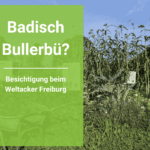 Badisch Bullerbü? Besichtigung beim Weltacker Freiburg