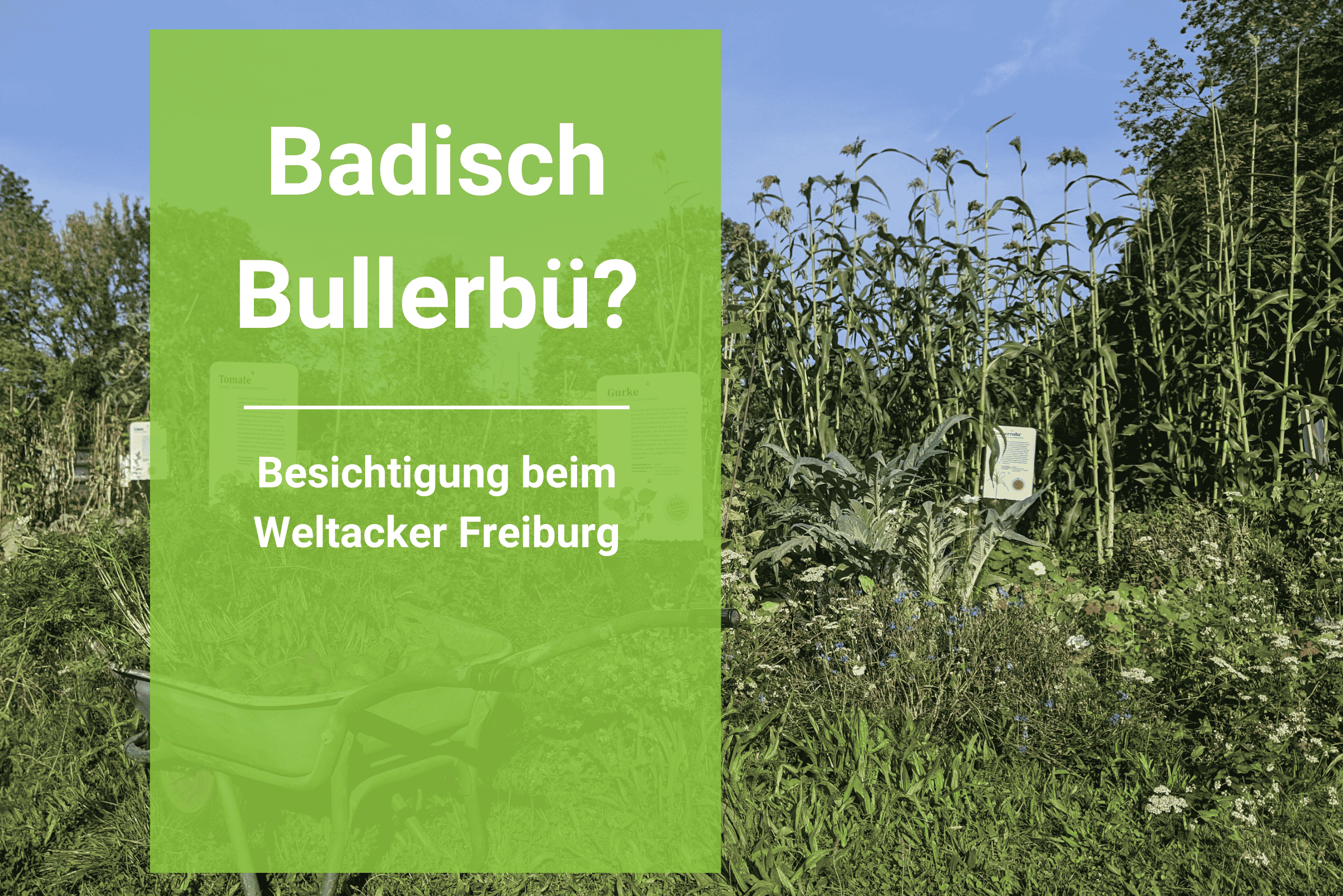 Badisch Bullerbü? Besichtigung beim Weltacker Freiburg