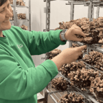 Save the Date: Region vernetzt auf dem Pilzhof Rein