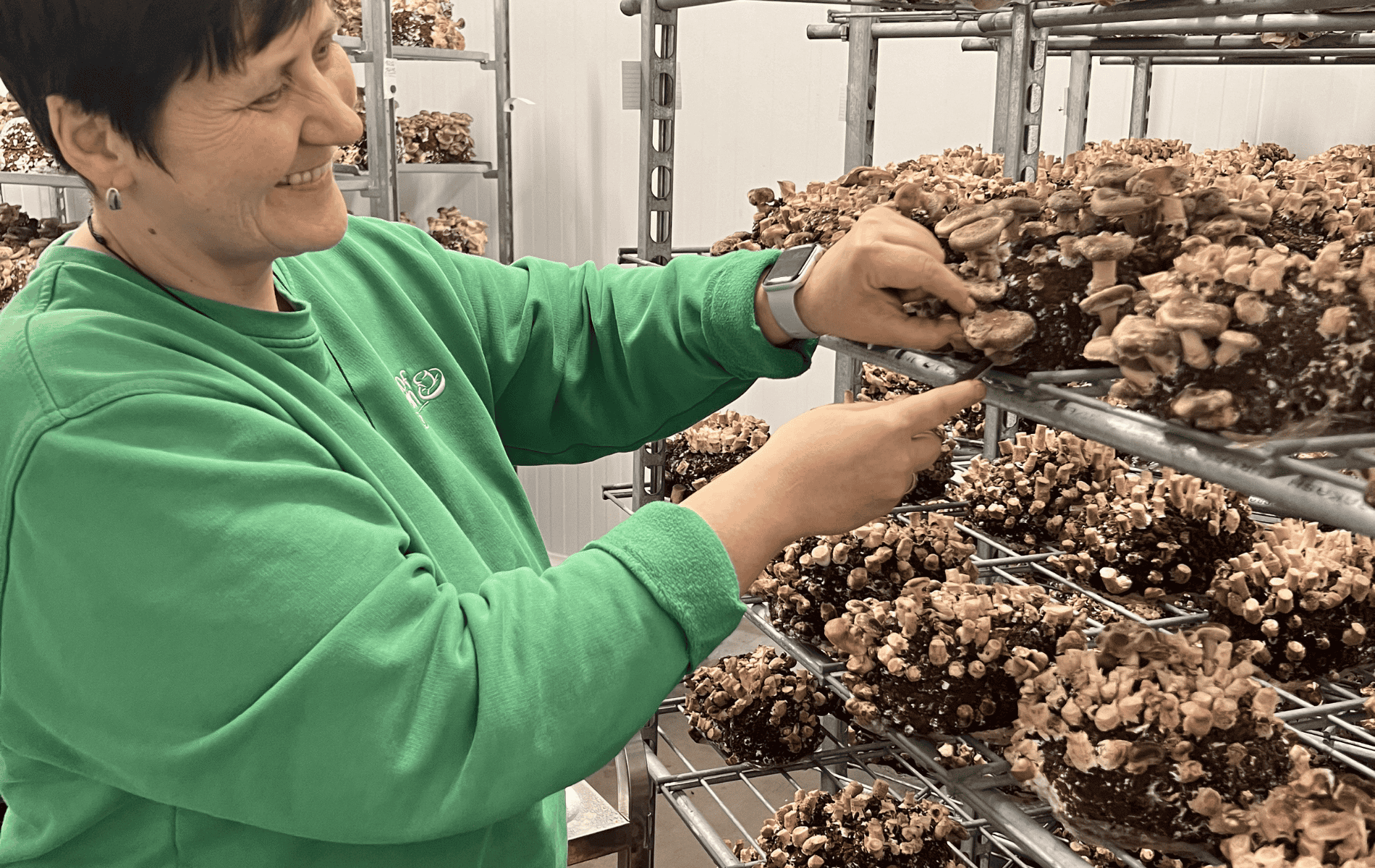 Save the Date: Region vernetzt auf dem Pilzhof Rein