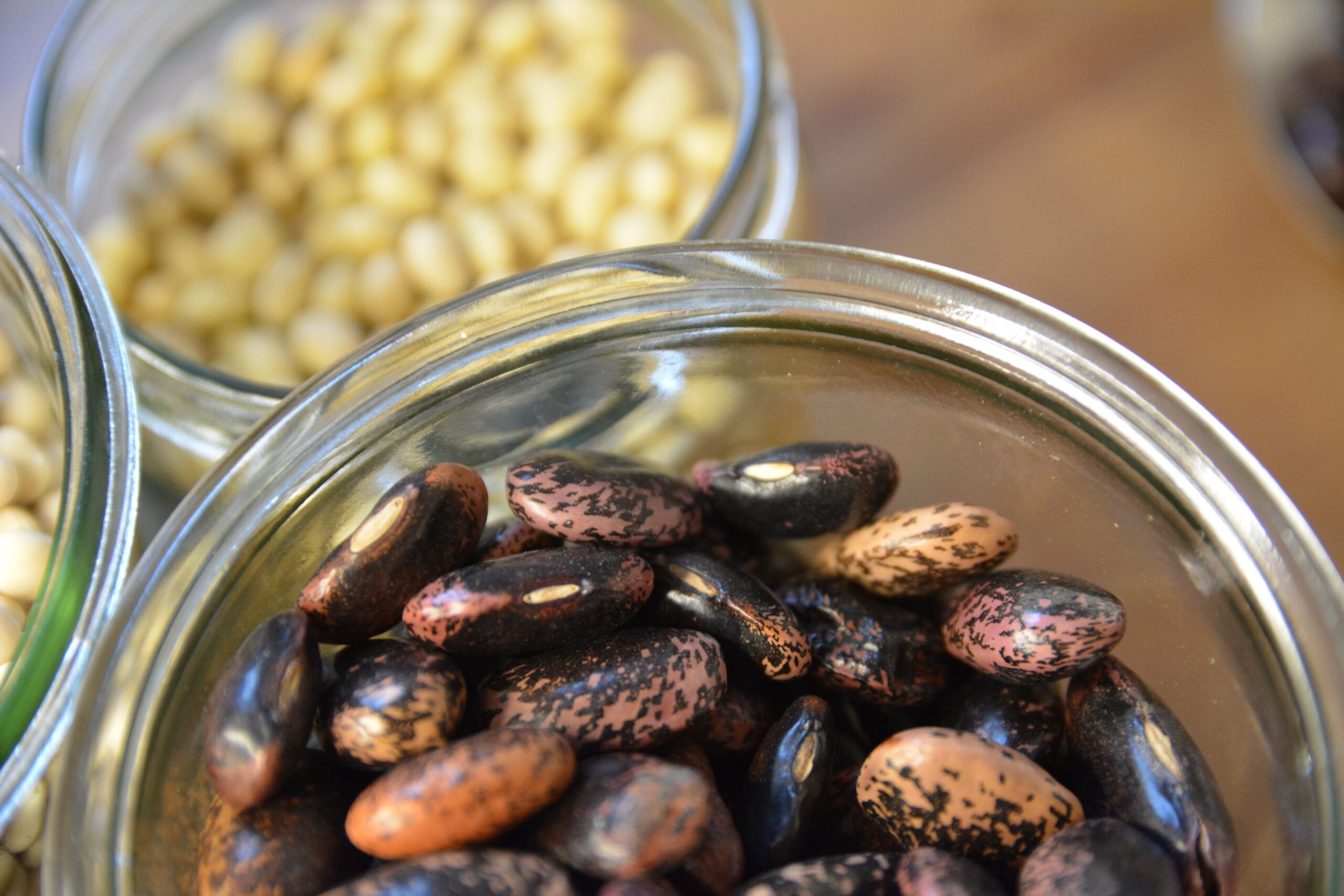 Kreativ kochen mit Hülsenfrüchten! - Kochworkshop mit Sarah Engelmann