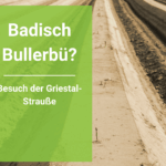 Badisch Bullerbü? Griestal - die Landwirtschaft hinter der Straußenwirtschaft