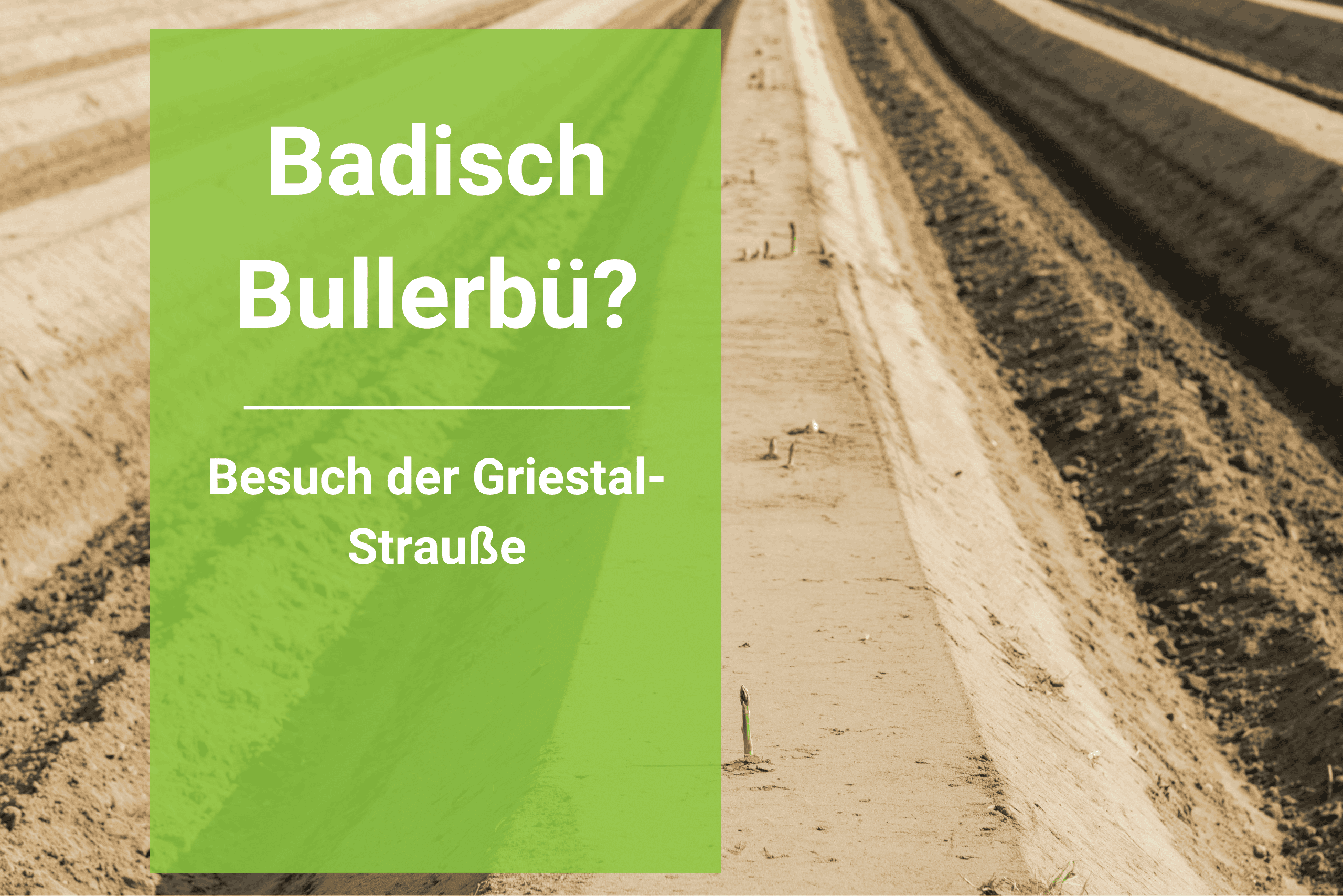 Badisch Bullerbü? Griestal - die Landwirtschaft hinter der Straußenwirtschaft