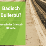 Badisch Bullerbü? Griestal - die Landwirtschaft hinter der Straußenwirtschaft