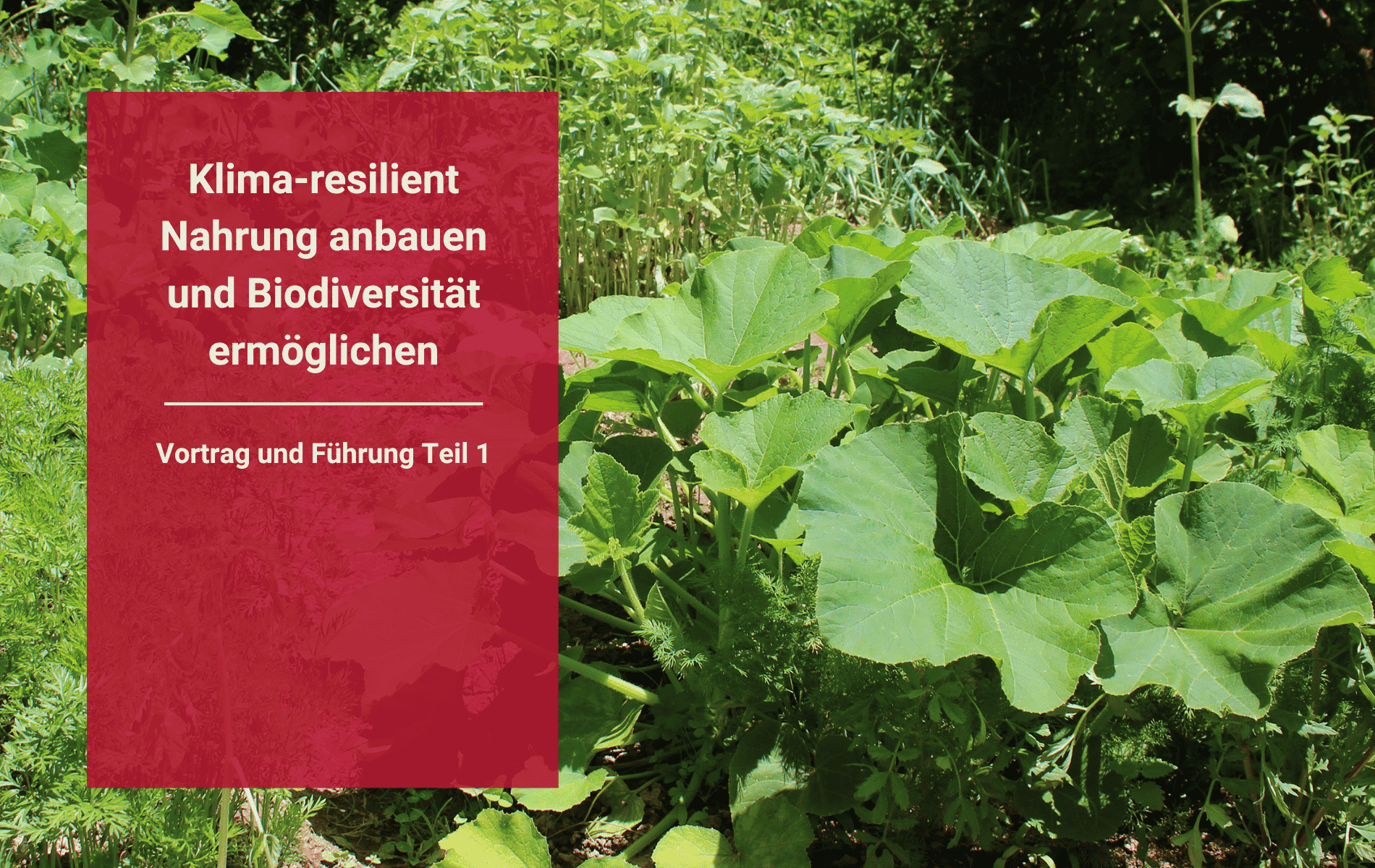 Klima-resilient Nahrung anbauen und Biodiversität ermöglichen