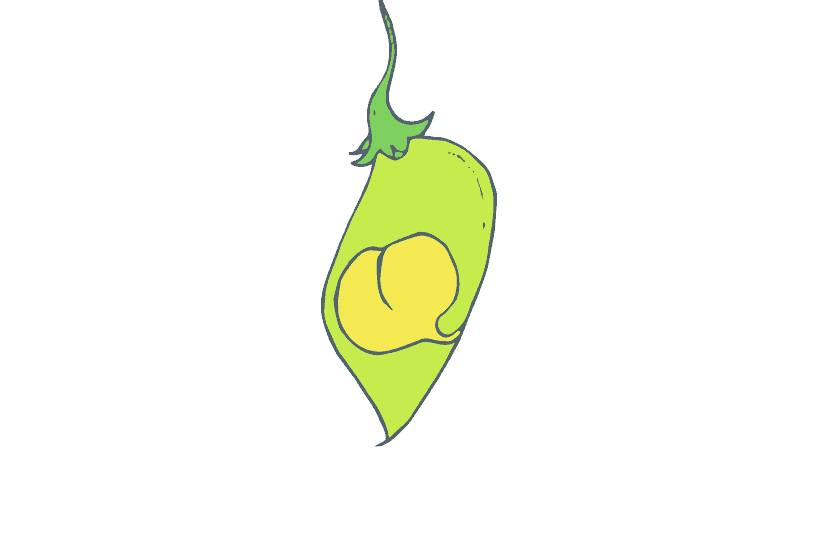 Feierabend-Workshop: Proteinkick mit Kichererbse und Co am 29. Oktober um 17:30 Uhr