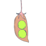 BEREITS AUSGEBUCHT - Feierabend-Workshop: Proteinkick mit Grüner Linse und Co