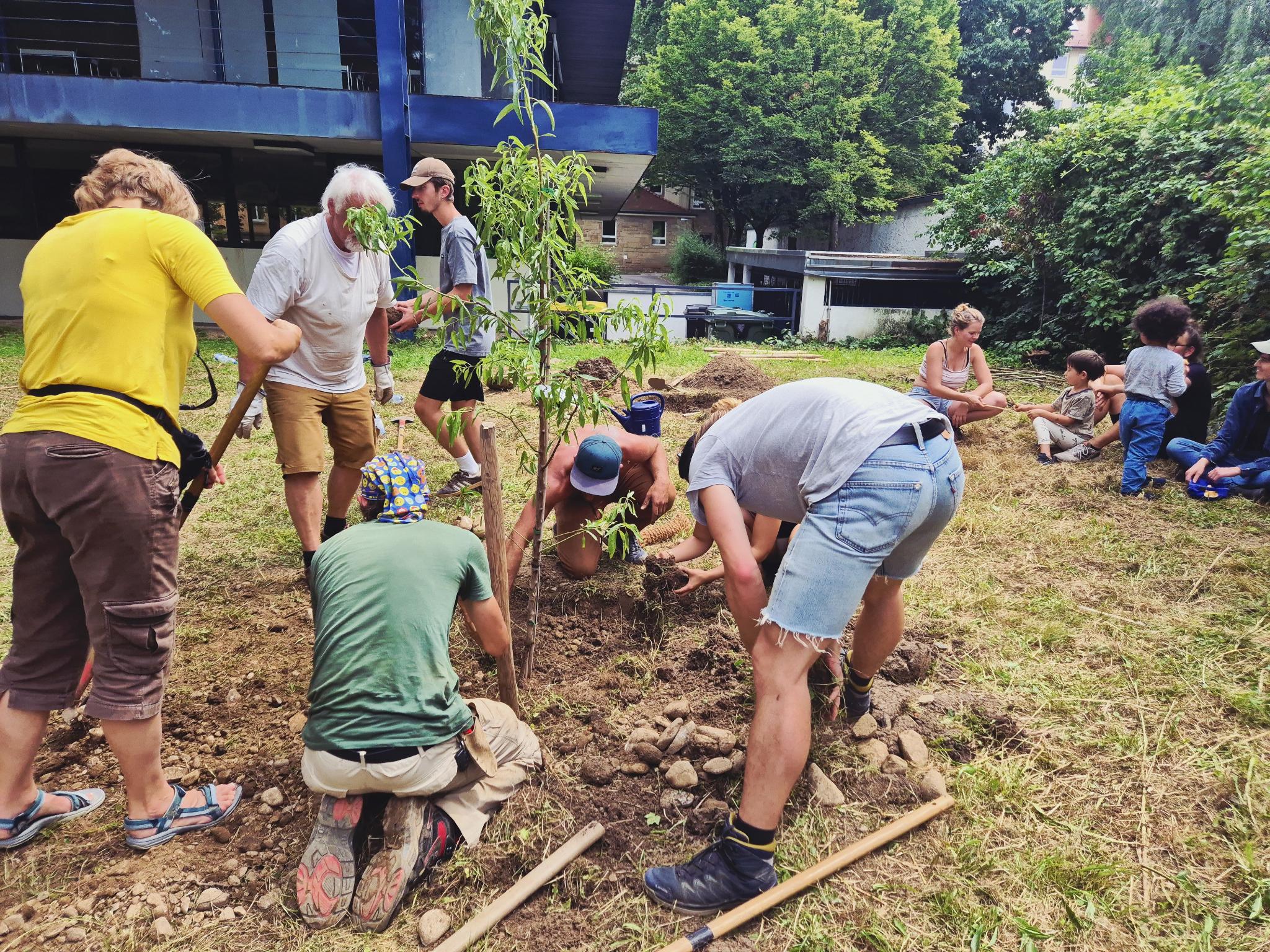 Waldwärts: Sommer-Aktionstag mit Pilzworkshop