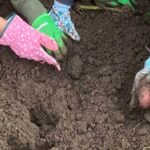 Workshop Boden - Bodenvielfalt kreativ entdecken