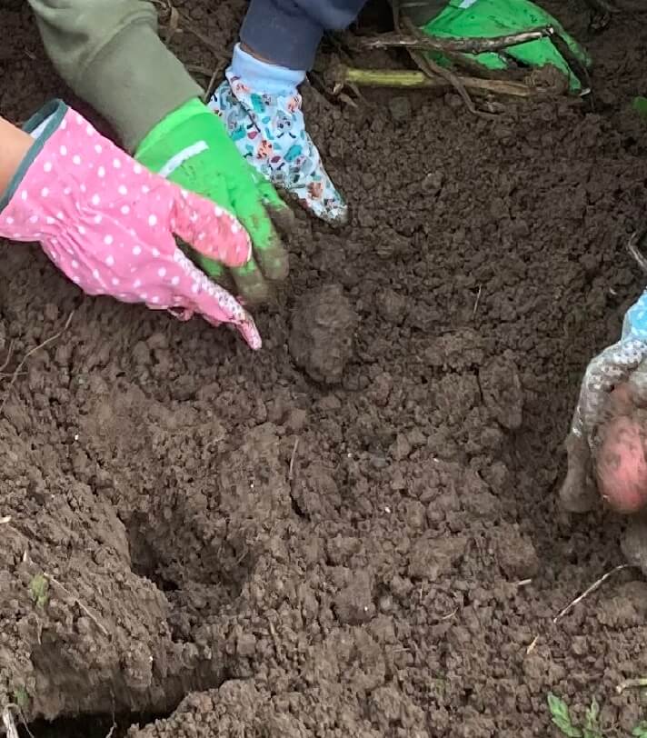 Workshop Boden - Bodenvielfalt kreativ entdecken