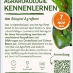 Agrarökologie kennenlernen – am Beispiel Agroforst