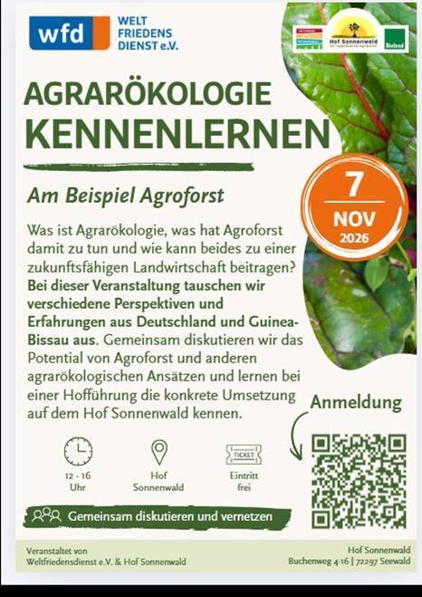 Agrarökologie kennenlernen – am Beispiel Agroforst
